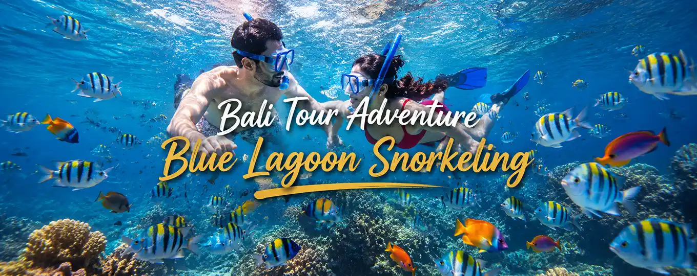 Blue Lagoon Snorkeling trip with crystal clear water nemo fish and sea turtle at Padang Bay ocean