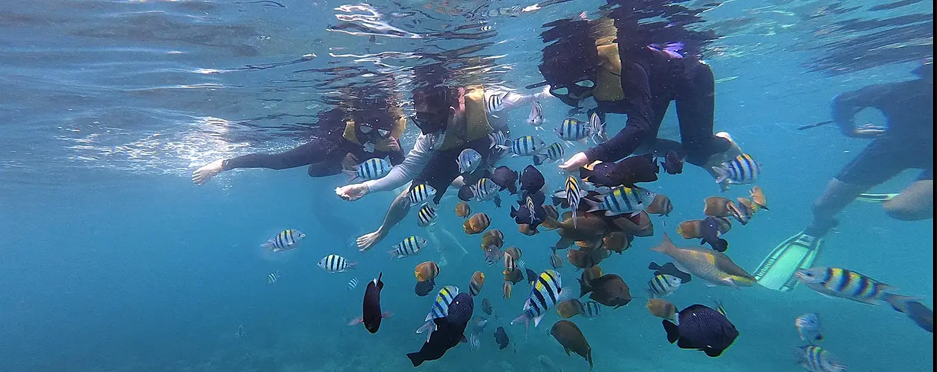 blue-lagoon-snorkeling-bali-underwater