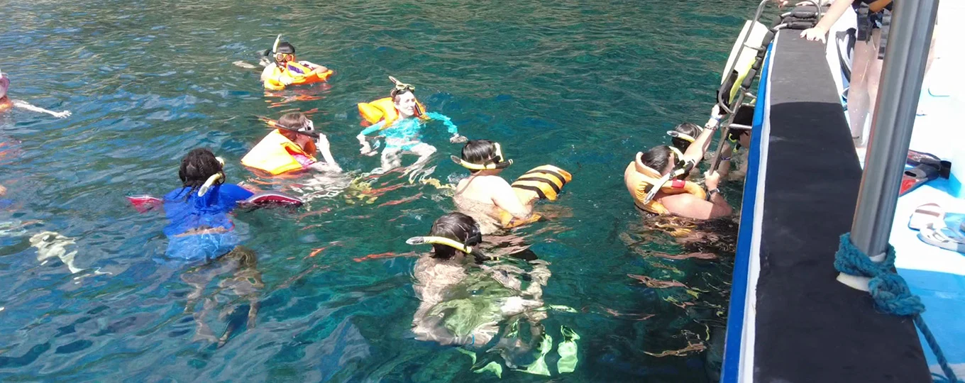 manta-bay-snorkeling-day