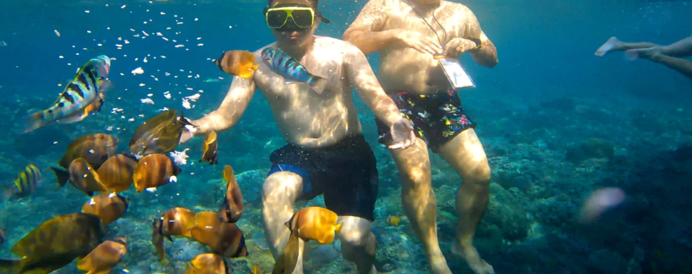 manta-bay-snorkeling-trip