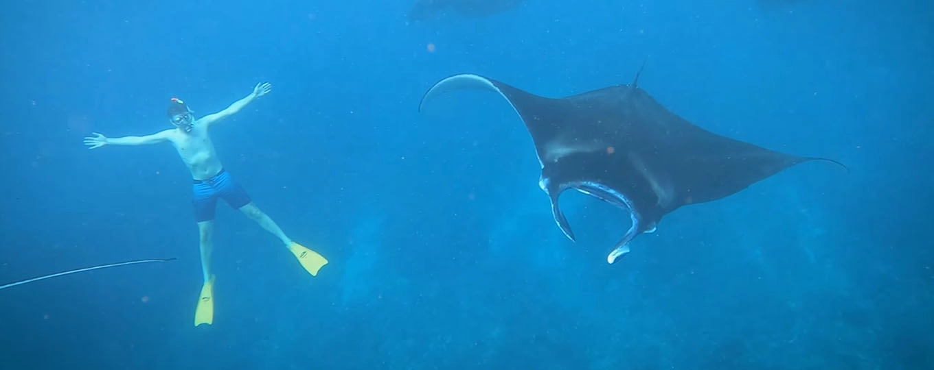 Best Manta Point Snorkeling Bali trip for swimming with manta rays in Nusa Penida