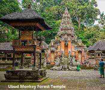ubud-8